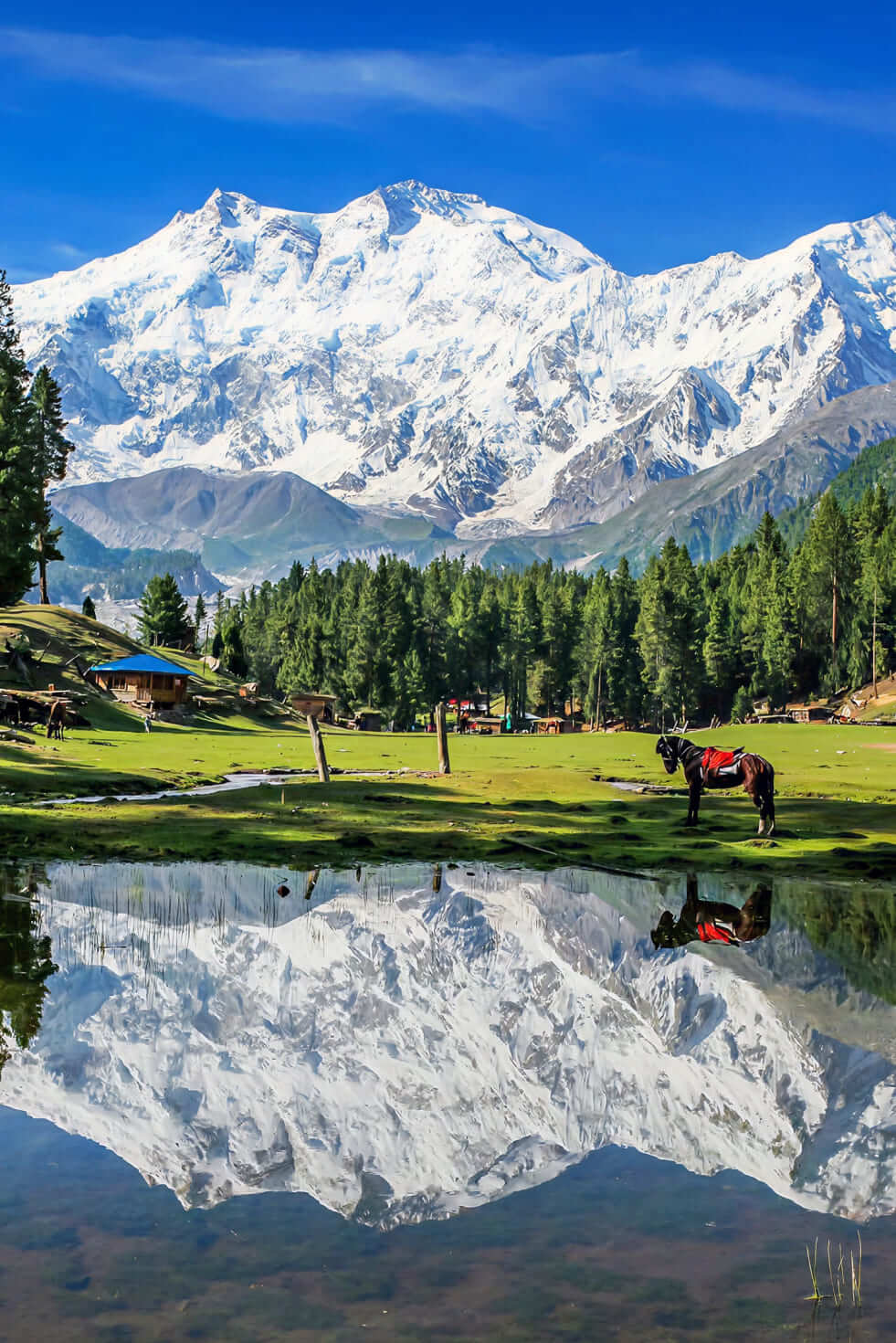 Fairy Meadows